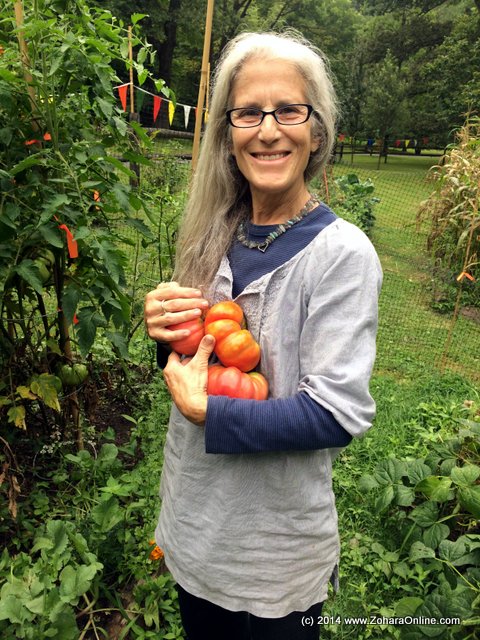 Welcome to Dogwood Farm’s 2014 Organic Garden