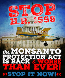 Stop Monsanto’s secret plan to Kill GMO Labeling!