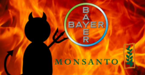 monsanto_bayer3