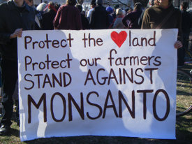 Supreme Court Sides With ‘Notorious Patent Bully Monsanto’