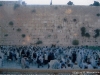 kotel