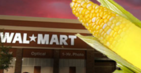 walmartgmcorn