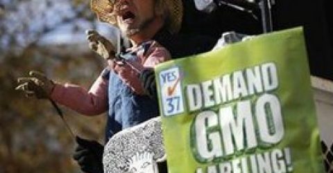 GMO-Prop-37