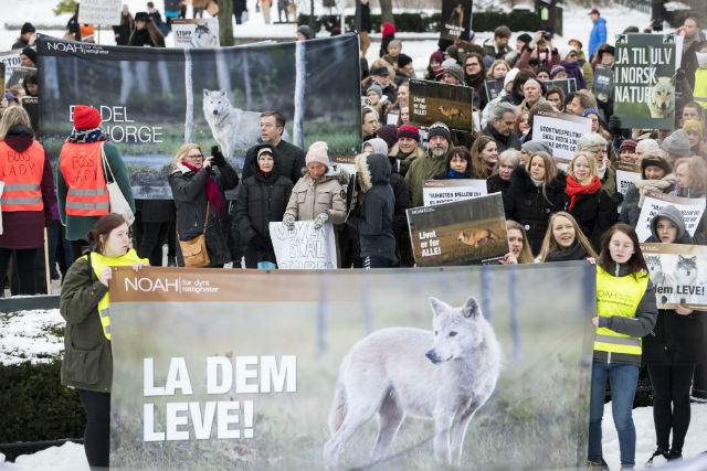 A protest against wolf hunting in Oslo last week. Photo: Ingrid Eide/NTB Scanpix