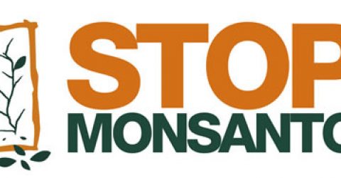 Stop_Monsanto_by_dmstns